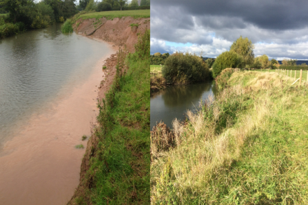 Before and after images showing a seriously eroded bank in the first image and one that is well vegetated in the second.