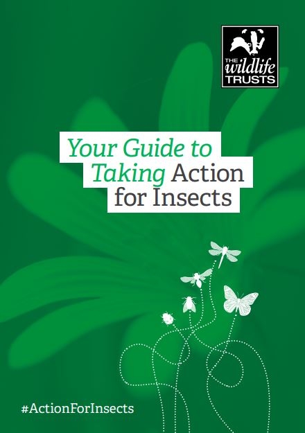 Front cover to Action for Insects guide