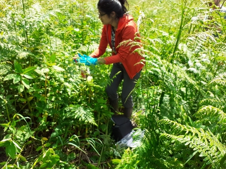 Woman wearing blue gloves stood amongst vegetation