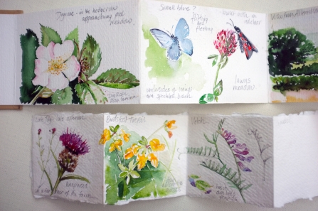 Watercolours of flowers and butterflies on folded paper