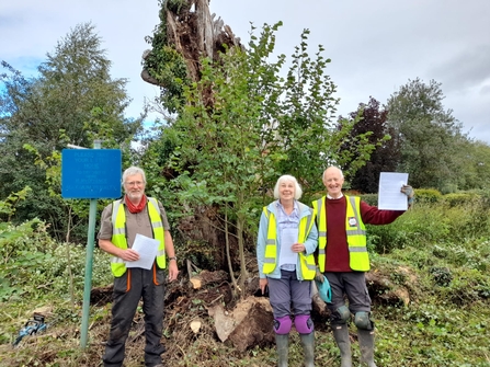 Two men and a woman in hi vis waistcoats stood in front of an old tree facing the camera