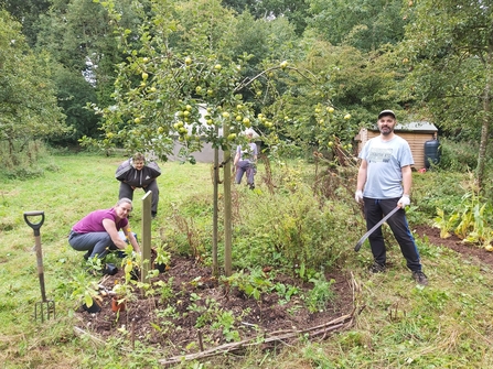 A group of three adults tending to a a garden bed with an apple tree growing in the centre