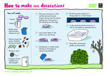 Make ice decorations to hang outside