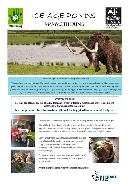 Activity sheet for making mammoth dung