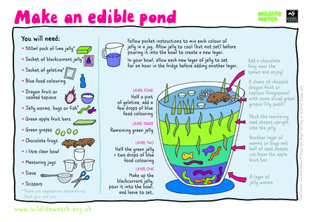 Activity sheet for making an edible pond