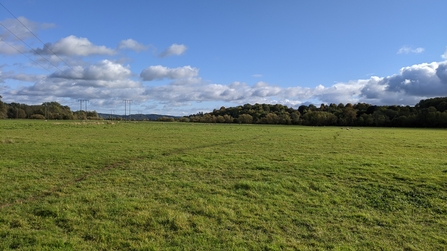 View across expanse of grass with woodland on the horizon and blue sky above