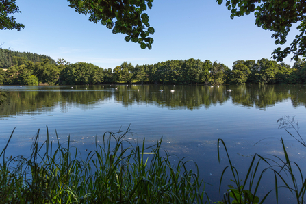 View across clam lake with trees beyond