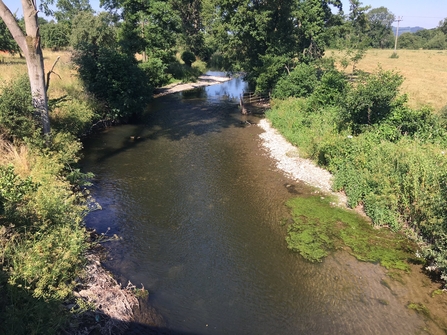 View of river with trees and bushes lining banks and shallow gravelly edges in places.