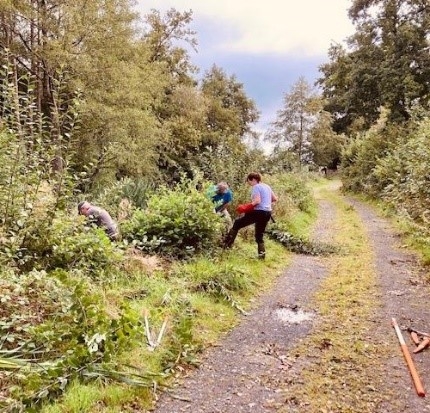 Two people working in vegetation beside track