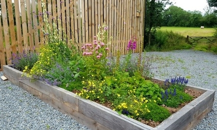 Flowers growing in bed edged with wood planks in a gravel area with slatted wooden barn and gate into field in background.