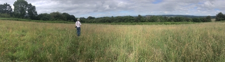 View a across wide open field with long grass
