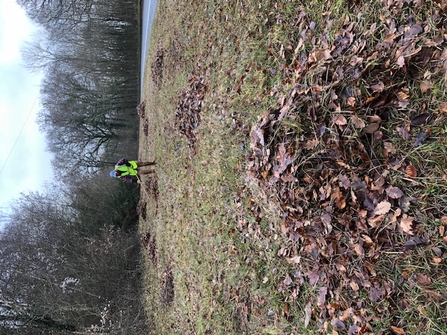 Wide verge with person in hi-vis top raking piles of leaves and grass