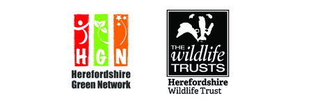 HGN & HWT Logos