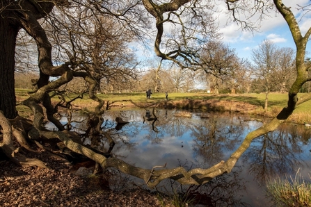 View through bare branches to large pond with grassland beyond