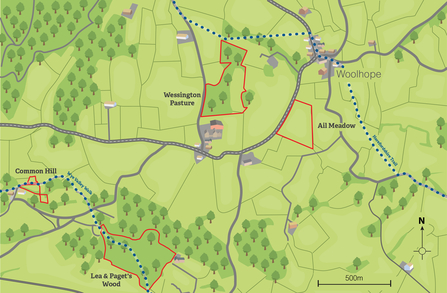 An illustrated map