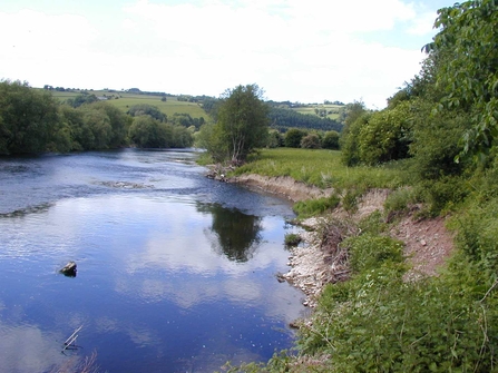 View from above onto wide, calm river with vegetated bankside