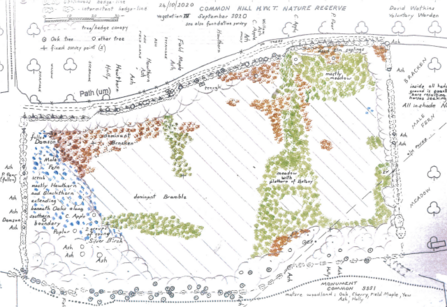 Scale map of Round’s Field, Common Hill Reserve