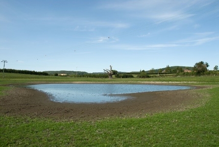 Small areas of water with muddy surround in a grassy field with hedgerow and hills visible in distance