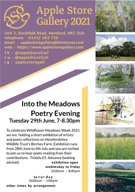 Flyer advertising the event