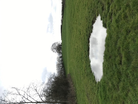 small, circular pool of water in grassy field