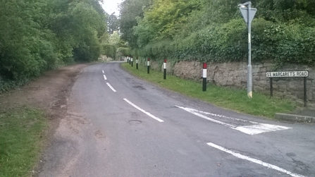View down a road with earth verge then tall hedge on left hand side and a wall and trees on right hand side.