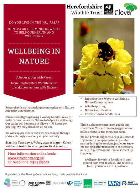Poster with text and image of bumblebee in yellow flower