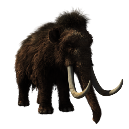 Digital image of a mammoth against white background