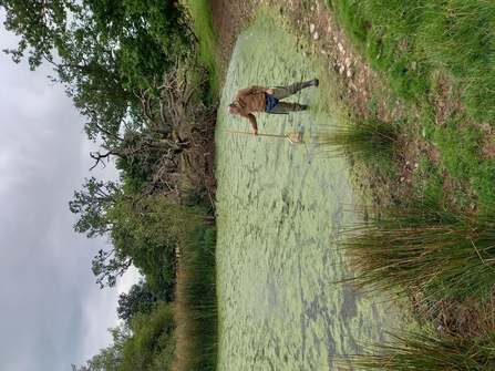 Man dipping net in edge of pond