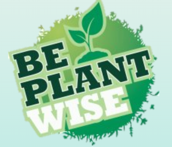 Logo with text in front of green circle and plant illustration