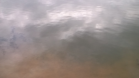 View of murky water surface