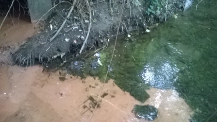 View of brown stream with muddy bank