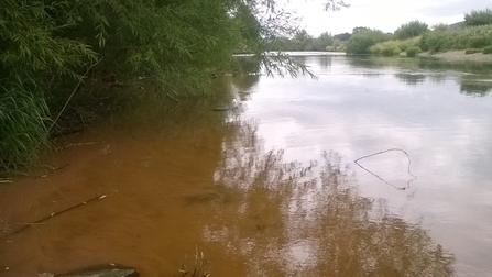 View across brown river with vegetation overhanging to the left