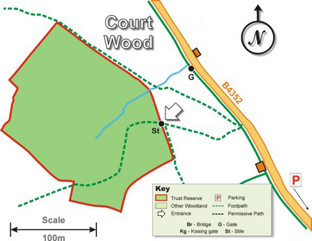 Court Wood site map