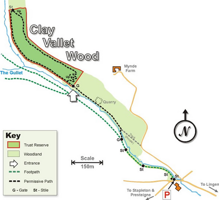 Clay Vallets Wood site map