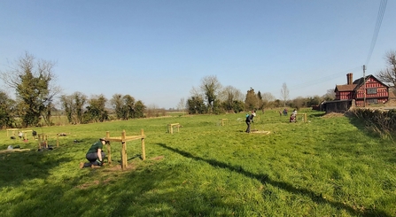 View across a field with people beside wooden tree guards