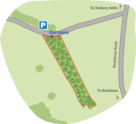 Upper Swingley Wood site map