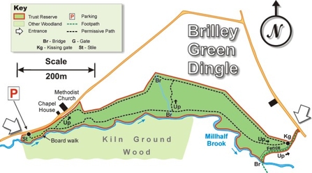 Brilley Green Dingle site map