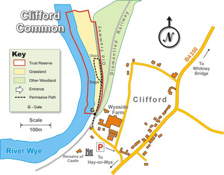 Clifford Common site map