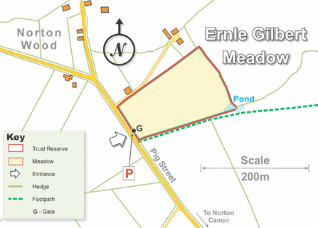 Ernle Gilbert site map
