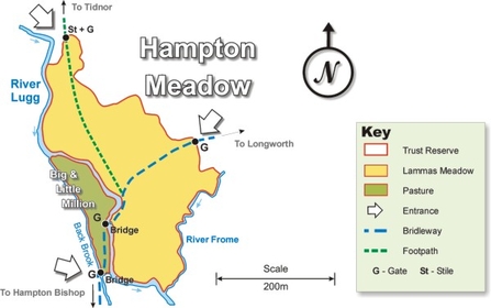 Hampton Meadow site map