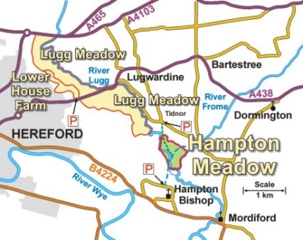 Hampton Park Road location map