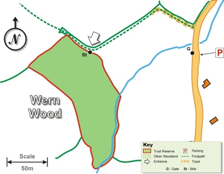 Wern Wood site map