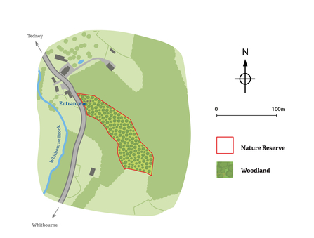 Rookhill Coppice