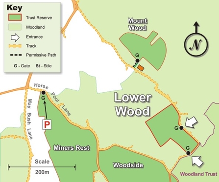 Lower Wood site map