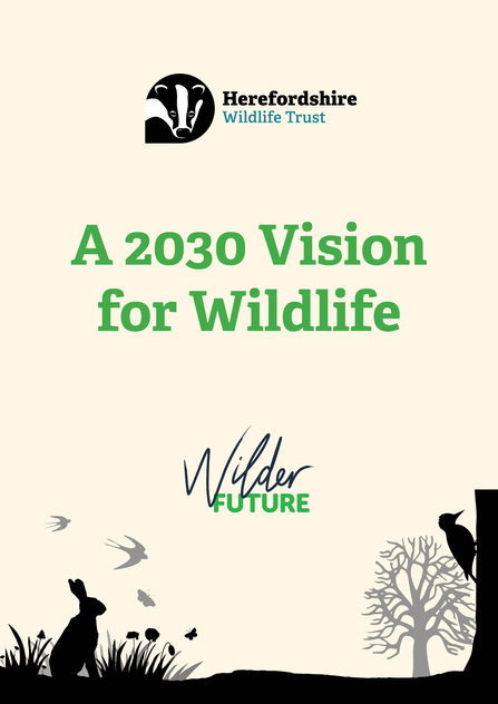 Cover of document with silhouette of hare and woodpecker plus green text and HWT logo