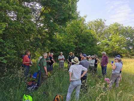 Group of around 20 people stood talking in long grass, under trees on a sunny day