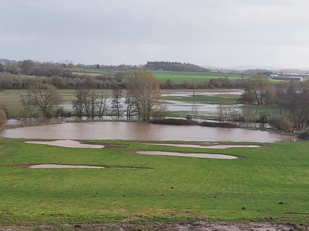 View of winter landscape with pools of water