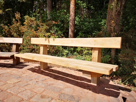 Memorial bench at Queenswood