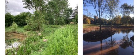 Left image: green vegetation around a small body of water; right image: open water with earth island with tree growing on island and beyond pond
