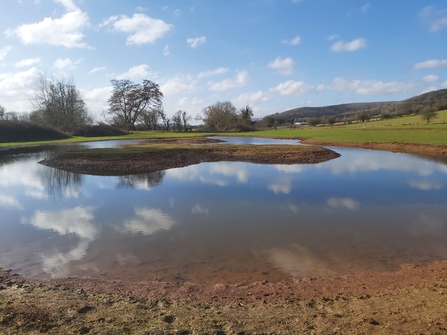 View of pool with central earth island with fields and trees beyond